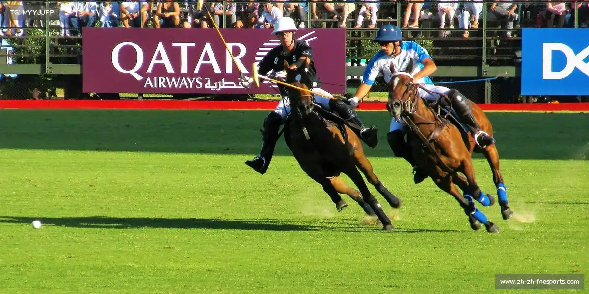 蜂鸟网📊 对手弱点剖析，制定专属破解战术！